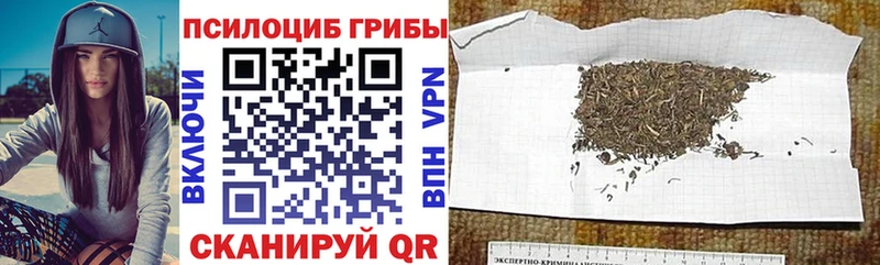 Псилоцибиновые грибы мицелий  купить наркоту  Ленинск-Кузнецкий 