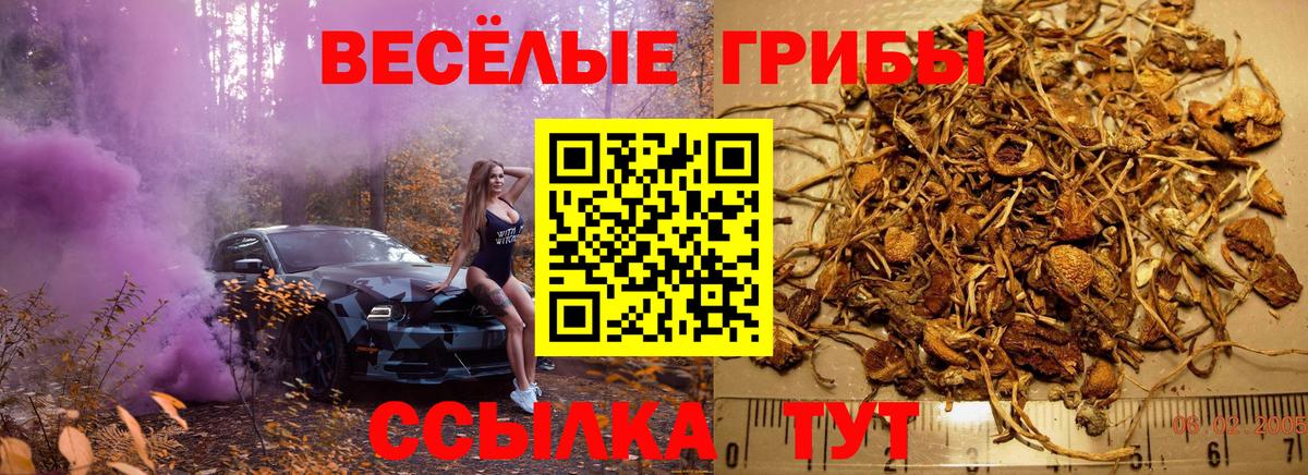 где купить   Галлюциногенные грибы ЛСД  Галлюциногенные грибы GOLDEN TEACHER  Вход с VPN  Ленинск-Кузнецкий 