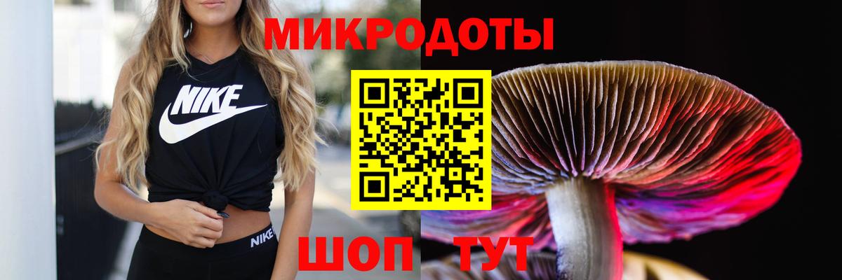 Псилоцибиновые грибы мухоморы Ленинск-Кузнецкий